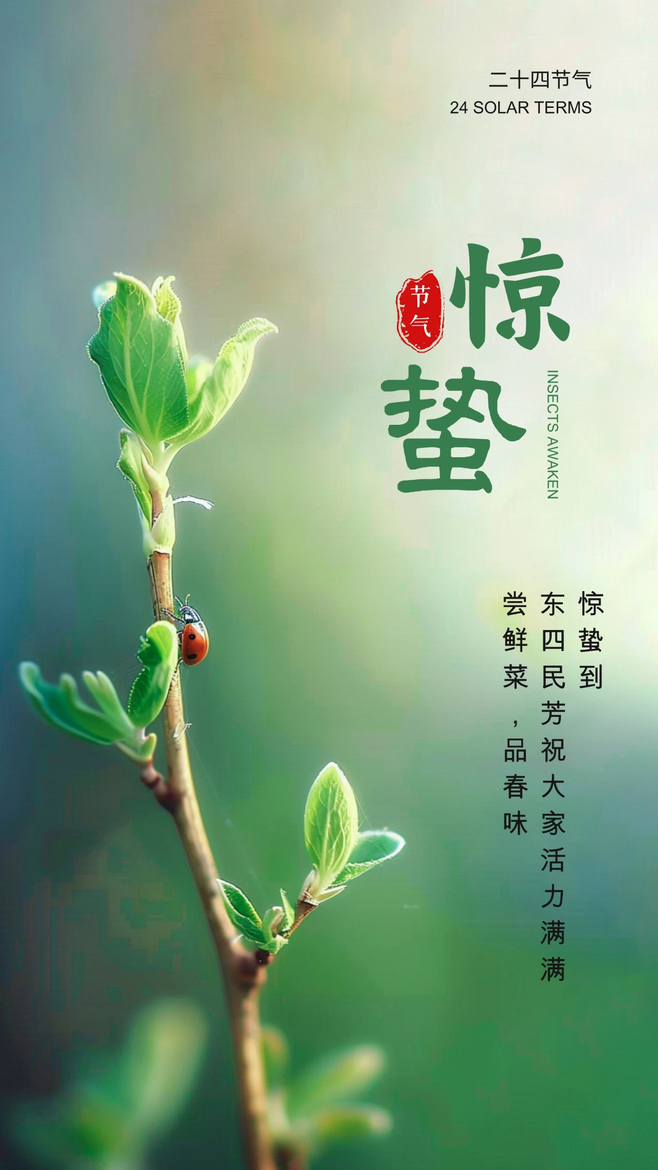 微信圖片_20250304135706.jpg